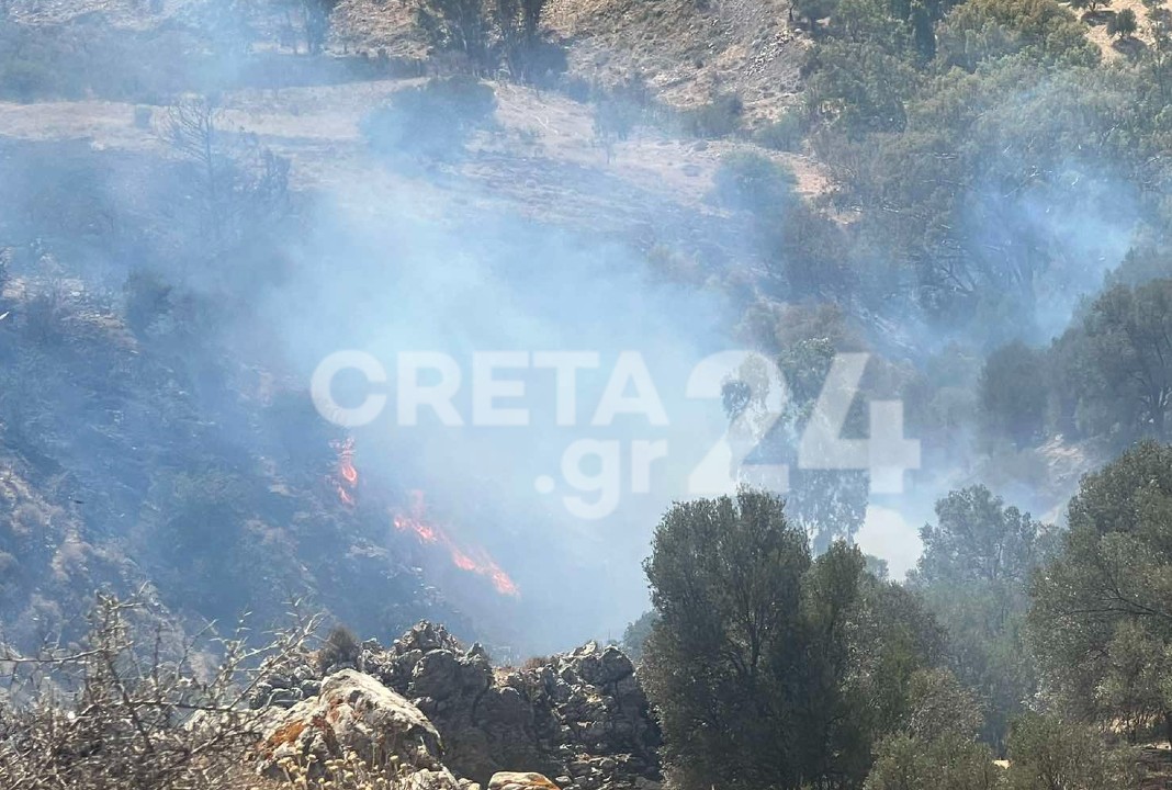 Φωτιά Γορτύνα