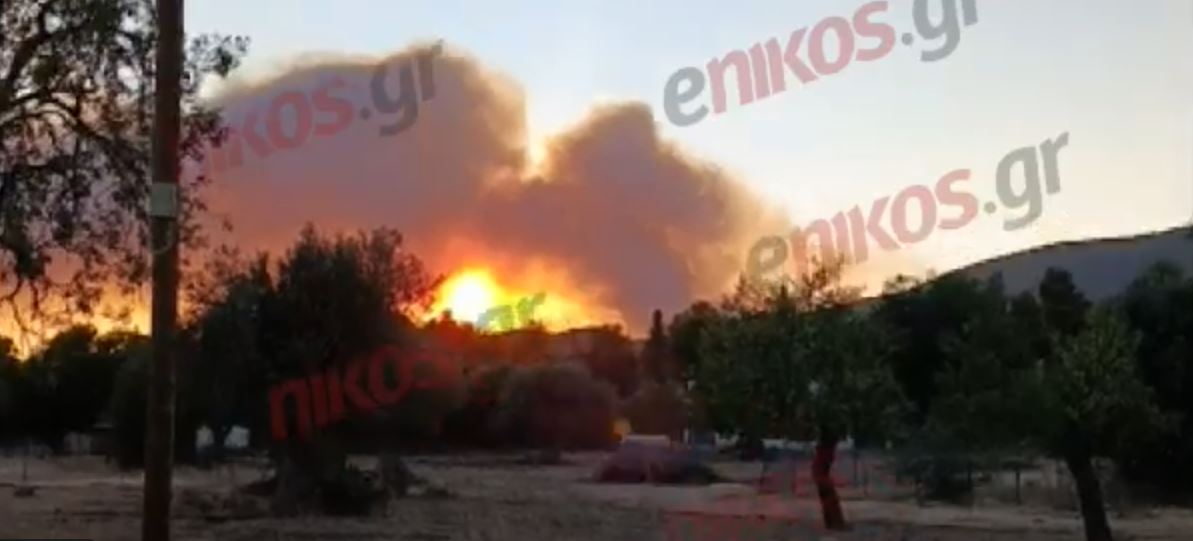 φωτιά Εύβοια