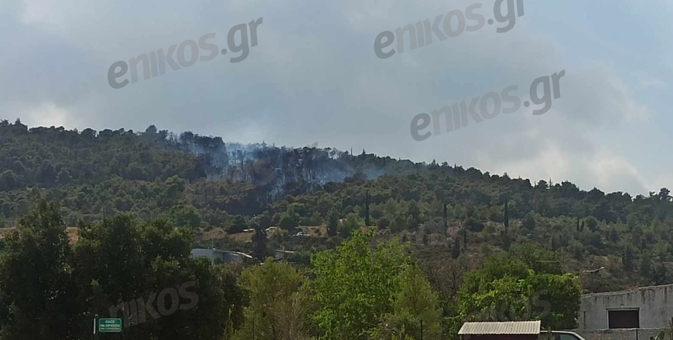 Υμηττός: Χωρίς ενεργό μέτωπο η φωτιά στα Γλυκά Νερά – ΦΩΤΟ και ΒΙΝΤΕΟ αναγνωστών