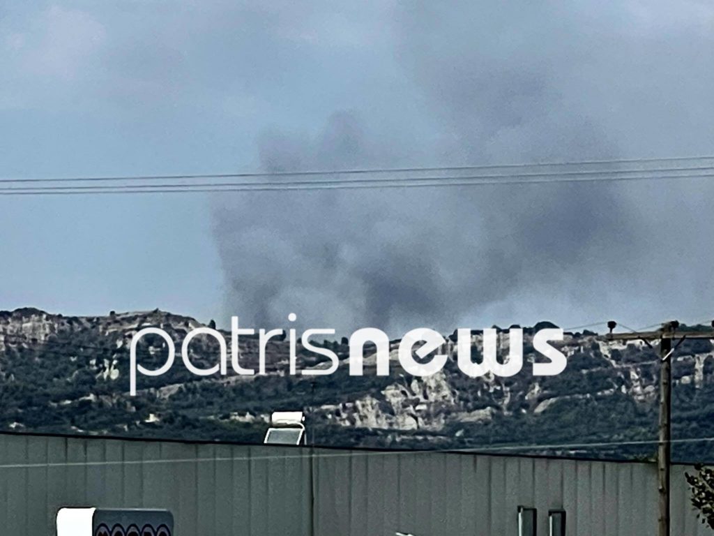 Ηλεία: Φωτιά σε δασική έκταση στην Ανάληψη – Σηκώθηκαν εναέρια μέσα