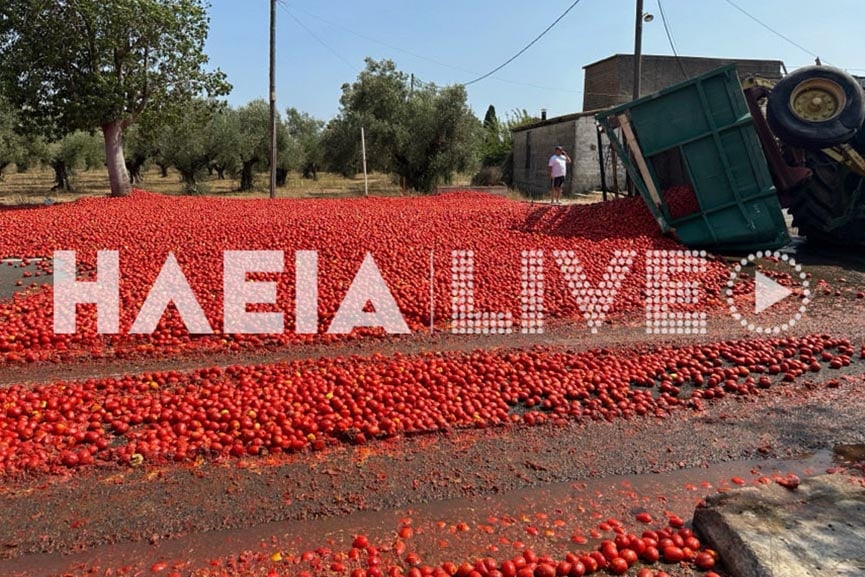 Ηλεία: Δρόμος καλύφθηκε από ντομάτες έπειτα από ανατροπή καρότσας τρακτέρ – ΦΩΤΟ και ΒΙΝΤΕΟ
