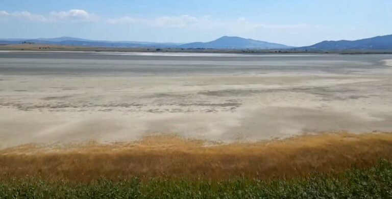 Κιλκίς: «Στέγνωσε» η Πικρολίμνη λόγω ανομβρίας – Χάθηκε κάθε ίχνος ζωής