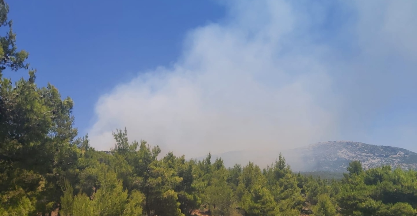 Φωτιά στον Κιθαιρώνα: «Καλύτερη η εικόνα στο πύρινο μέτωπο, αλλά επιμένουν οι άνεμοι», λέει στο enikos.gr ο δήμαρχος Μάνδρας – Ειδυλλίας