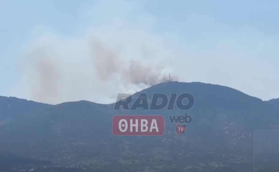 Φωτιά στον Κιθαιρώνα: Ορατοί και από την Θήβα οι καπνοί – Εκκενώνεται κατασκήνωση, ενισχύθηκαν οι δυνάμεις της Πυροσβεστικής