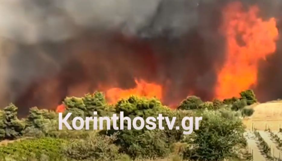 Φωτιά στην Κορινθία: Νέα αναζωπύρωση στο Κούτσι – ΒΙΝΤΕΟ