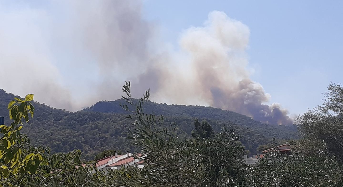 Φωτιά στην Κορινθία: 6 χιλιόμετρα το πύρινο μέτωπο – «Αν είχε μπει στο Σοφικό, θα μιλούσαμε για τραγωδία» λέει στο enikos.gr ο δήμαρχος