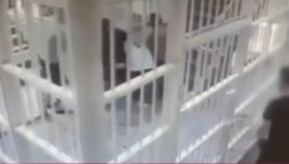 Κορυδαλλός