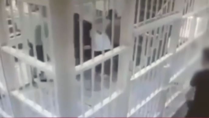 Κορυδαλλός