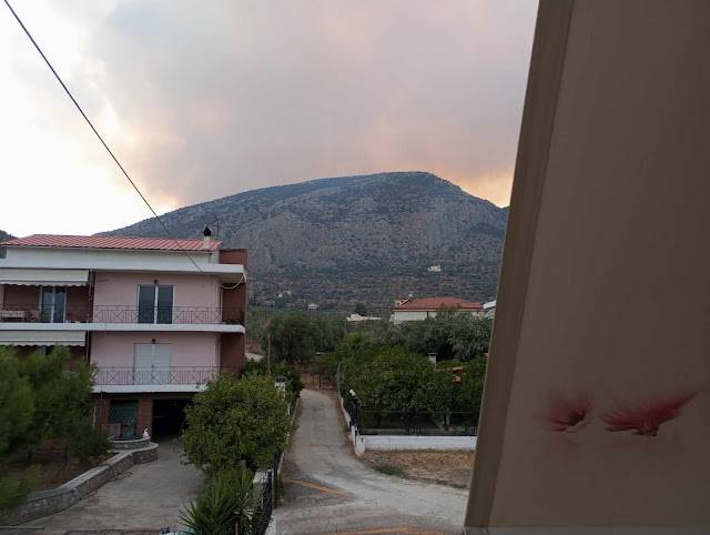 Μεσόκαμπος