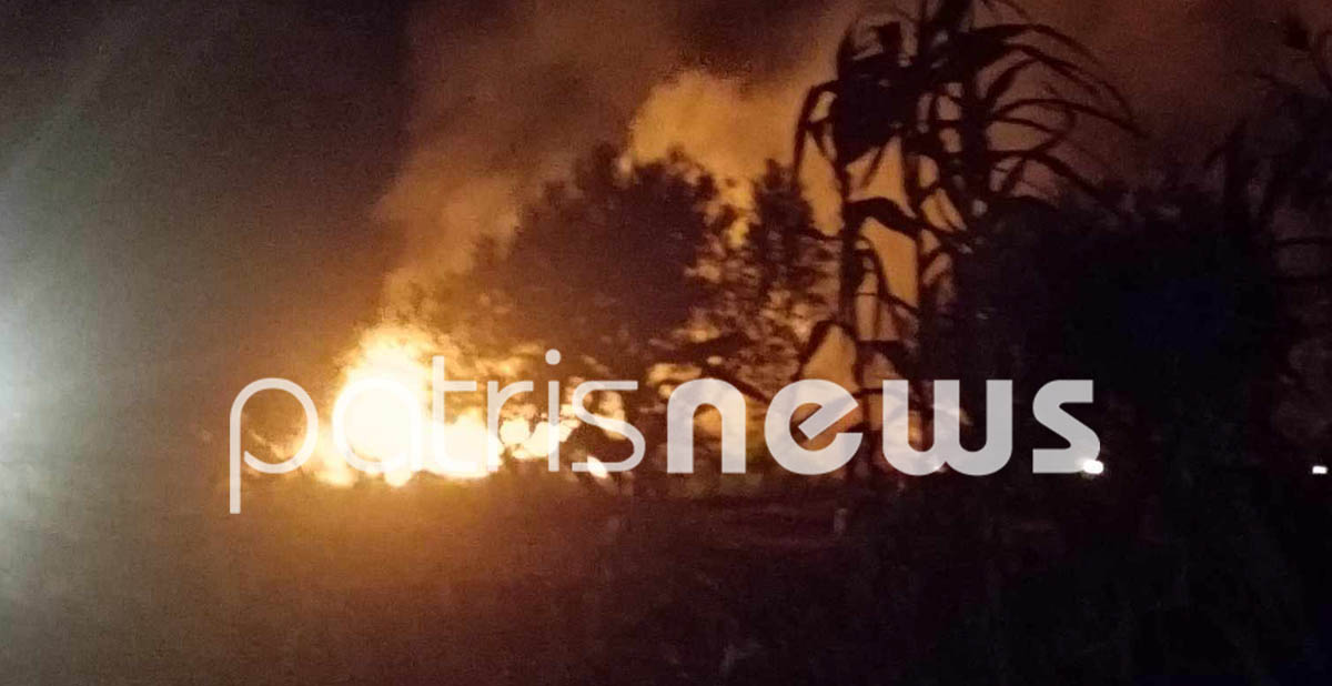 εμπρηστική επίθεση δολοφόνος Βασιλικής