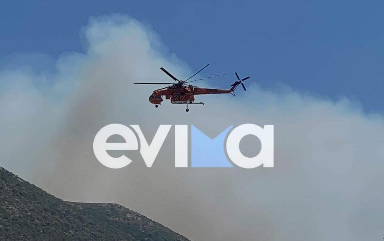 Εύβοια: Φωτιά τώρα στην Νέα Αρτάκη – Επιχειρούν και τρία αεροσκάφη