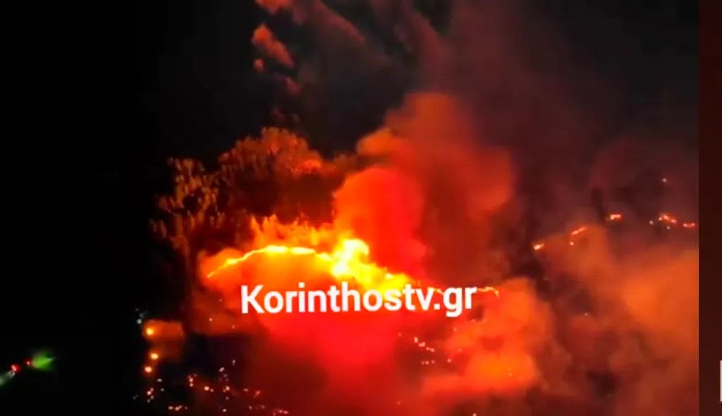 Νεμέα: Σε κατάσταση έκτακτης ανάγκης ο δήμος – Ολονύχτια «μάχη» με τις φλόγες – ΒΙΝΤΕΟ