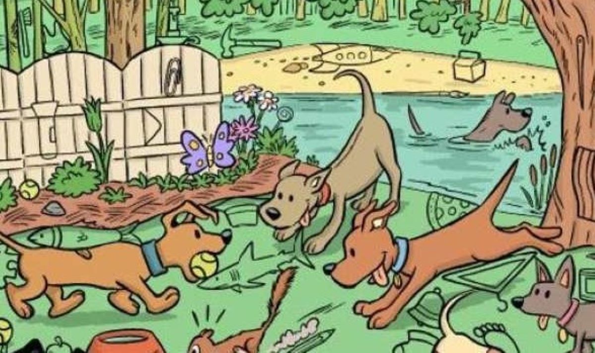 Οπτική ψευδαίσθηση