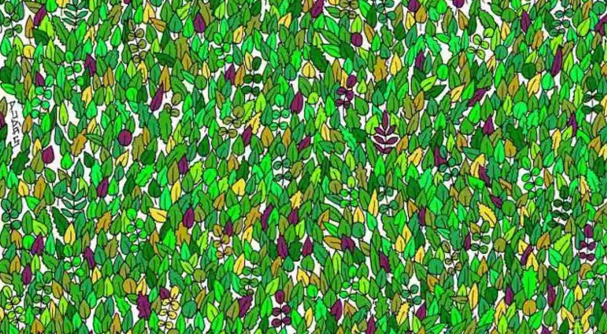 Οπτική ψευδαίσθηση