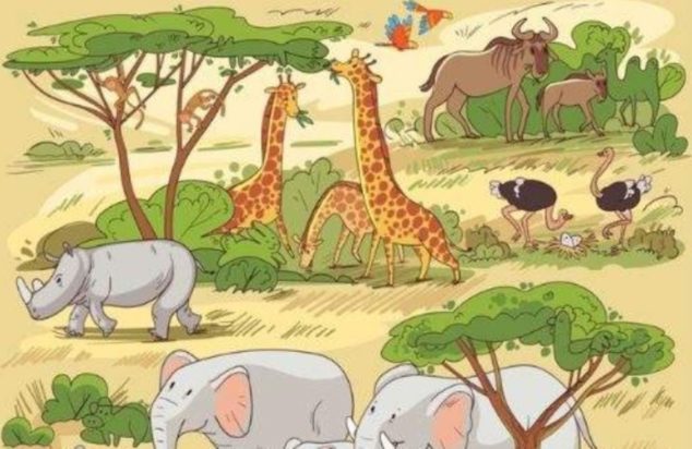 Οπτική ψευδαίσθηση