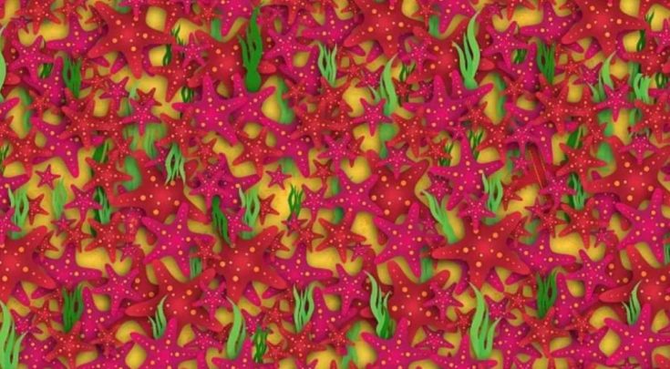 Οπτική ψευδαίσθηση