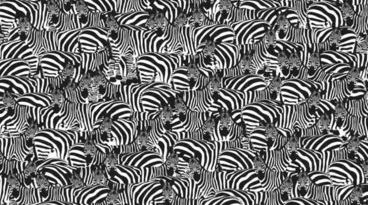 Οπτική ψευδαίσθηση