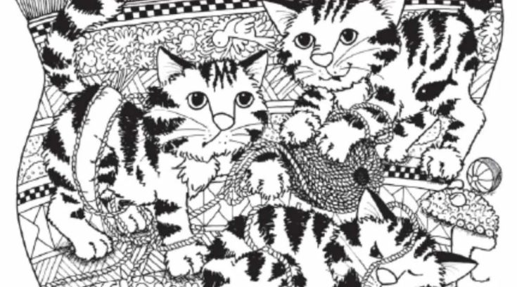 Οπτική ψευδαίσθηση