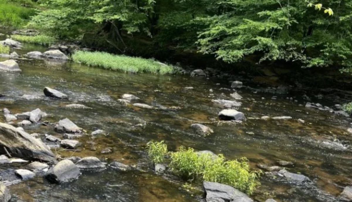 Οπτική ψευδαίσθηση