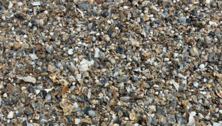 Οπτική ψευδαίσθηση