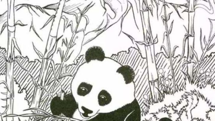 Οπτική ψευδαίσθηση