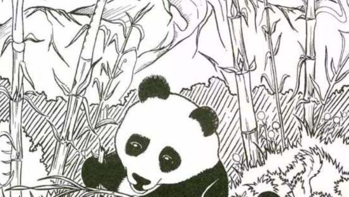 Οπτική ψευδαίσθηση