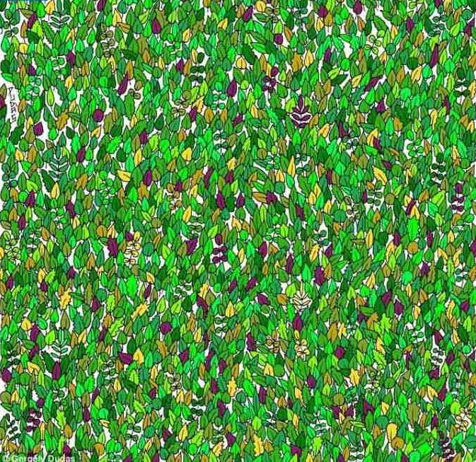 Οπτική ψευδαίσθηση