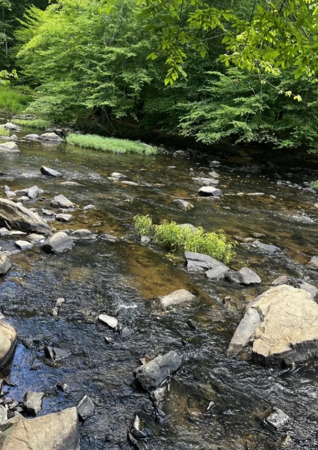 Οπτική ψευδαίσθηση