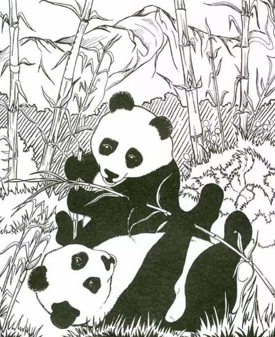 Οπτική ψευδαίσθηση