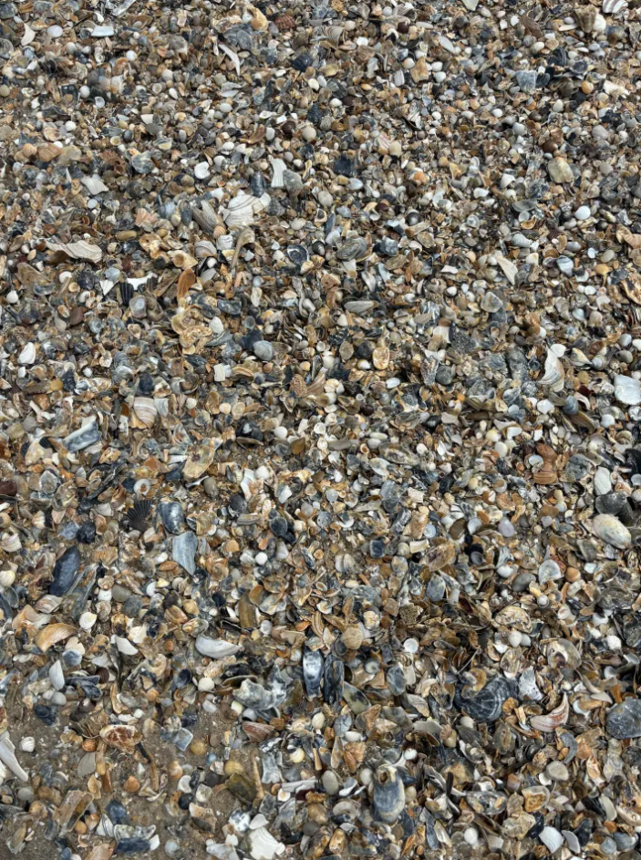 Οπτική ψευδαίσθηση