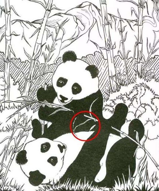 Οπτική ψευδαίσθηση