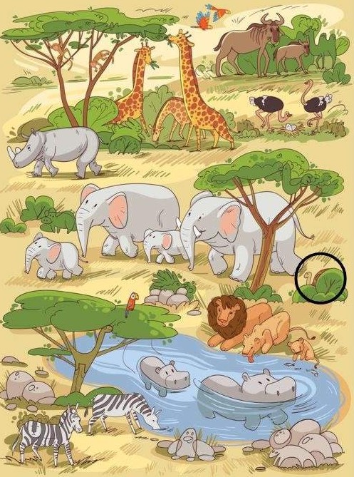 Οπτική ψευδαίσθηση