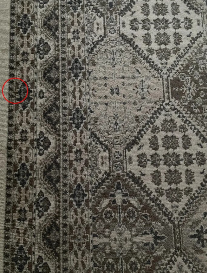 Οπτική ψευδαίσθηση