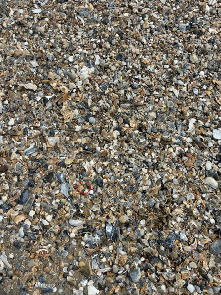 Οπτική ψευδαίσθηση