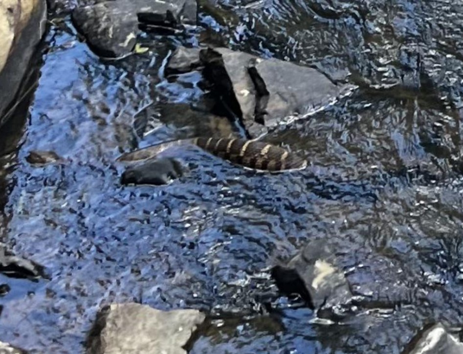 Οπτική ψευδαίσθηση