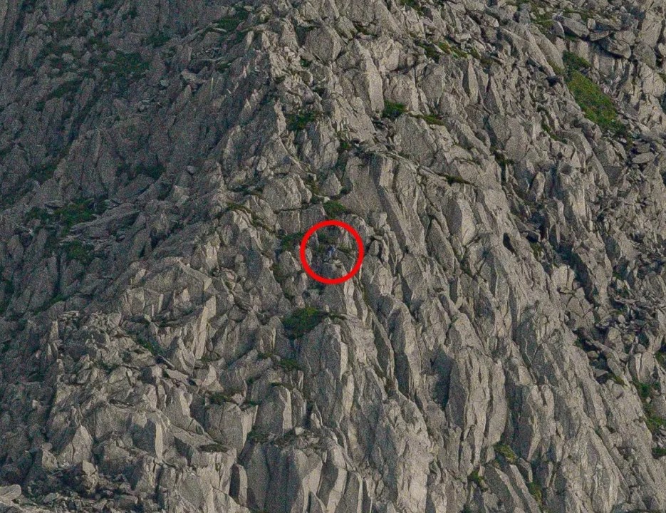 Οπτική ψευδαίσθηση