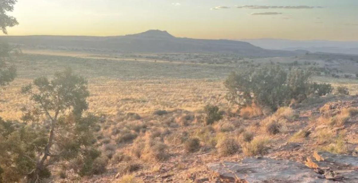 Οπτική ψευδαίσθηση