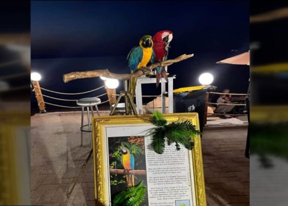 Χαλκιδική: Έκοψε τα φτερά παπαγάλων