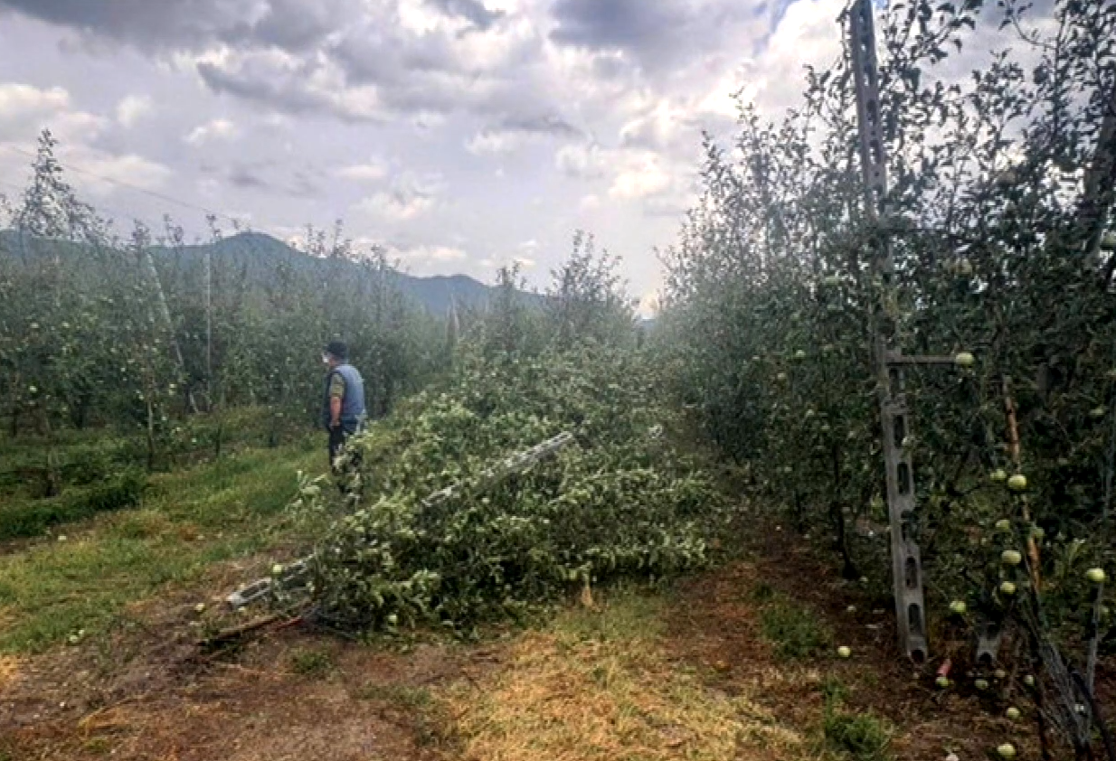 χαλαζόπτωση Πέλλα
