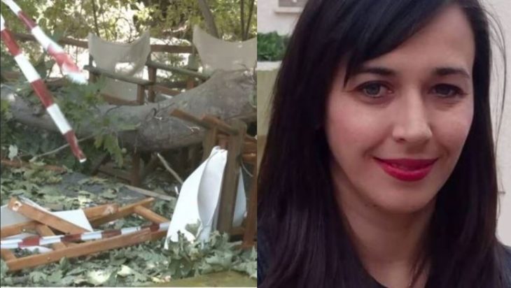 Πιερία Κλαδί