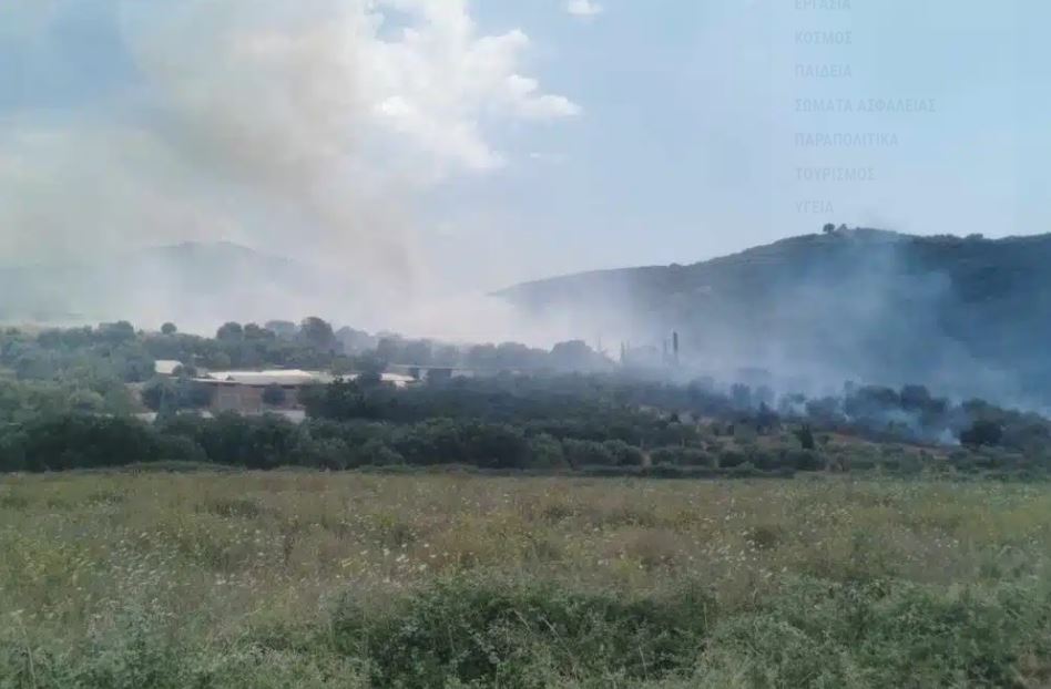 Πρέβεζα: Φωτιά στο Καναλάκι Πάργας – Στη «μάχη» και εναέρια μέσα – ΒΙΝΤΕΟ