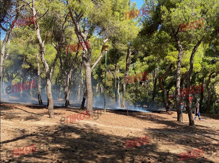 Ιλίσια: Φωτιά στο άλσος Αγίου Χαραλάμπους