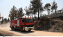 Συνελήφθη 89χρονος για φωτιά στο Κρυονέρι Αττικής - Του επιβλήθηκε πρόστιμο πάνω από 2.500 ευρώ