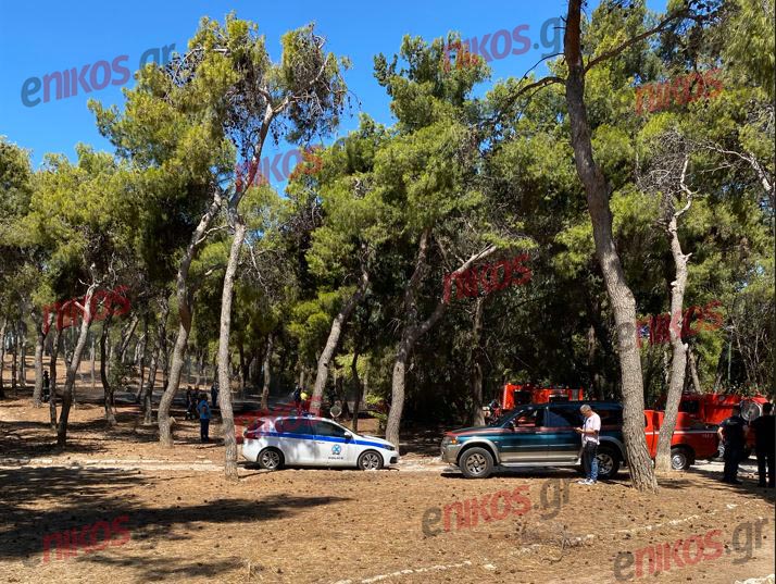 Ιλίσια- φωτιά- άλσος