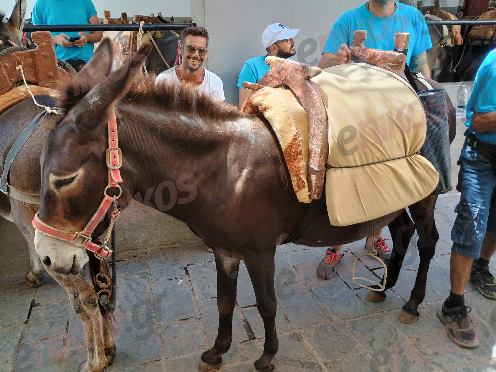 Ρόδος γαϊδουράκια 