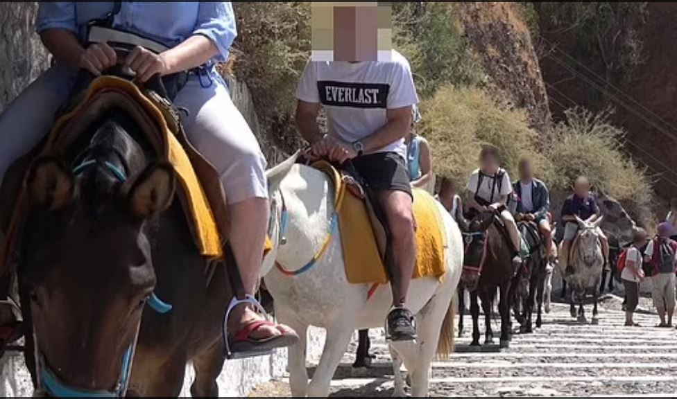 Ρόδος: Απεγνωσμένη έκκληση να σταματήσει η μεταφορά τουριστών με γαϊδουράκια