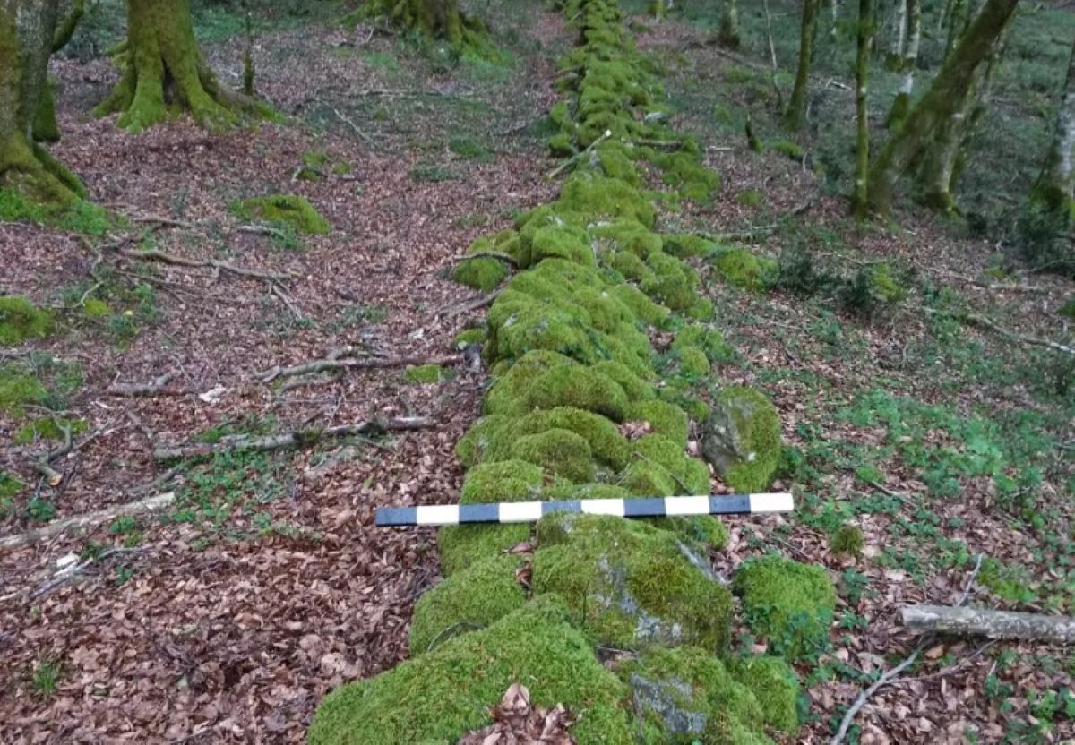 Το σημείο στο δάσος που εντοπίστηκε το αρχαίο τείχος και η τάφρος που κατασκευάστηκαν με στόχο να παγιδεύσουν τον Σπάρτακο.