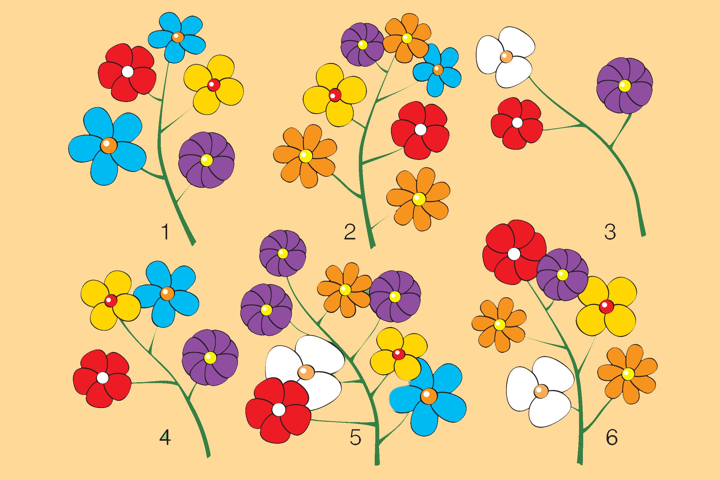 Τεστ IQ για δυνατούς λύτες: Mπορείτε να βρείτε ποιο μπουκέτο λουλούδια δεν ταιριάζει σε 12 δευτερόλεπτα;