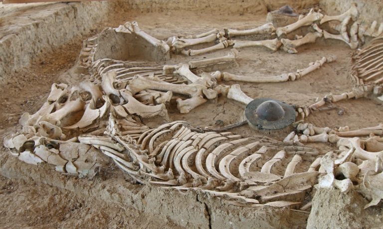 Η αποκάλυψη του επιβλητικού ταφικού μνημείου της Θράκης – Οι θαμμένες άμαξες και τα άλογα