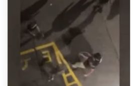 τορινο δημοσιογραφος